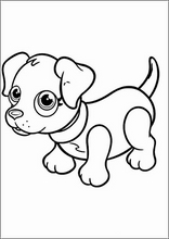 Pet Parade10