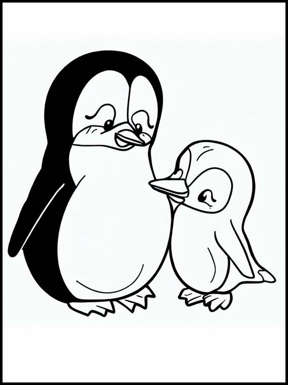 Pinguins - Animais 4