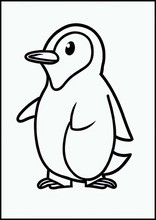 Pinguïns - Dieren3