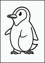 Pinguini - Animali3