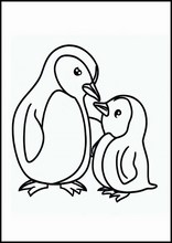 Pinguins - Animais5