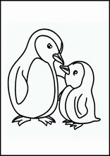 Pinguine - Tiere5