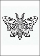 Papillons de nuit - Animaux3