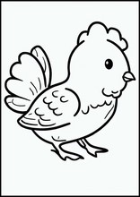 Kycklingar - Djur1