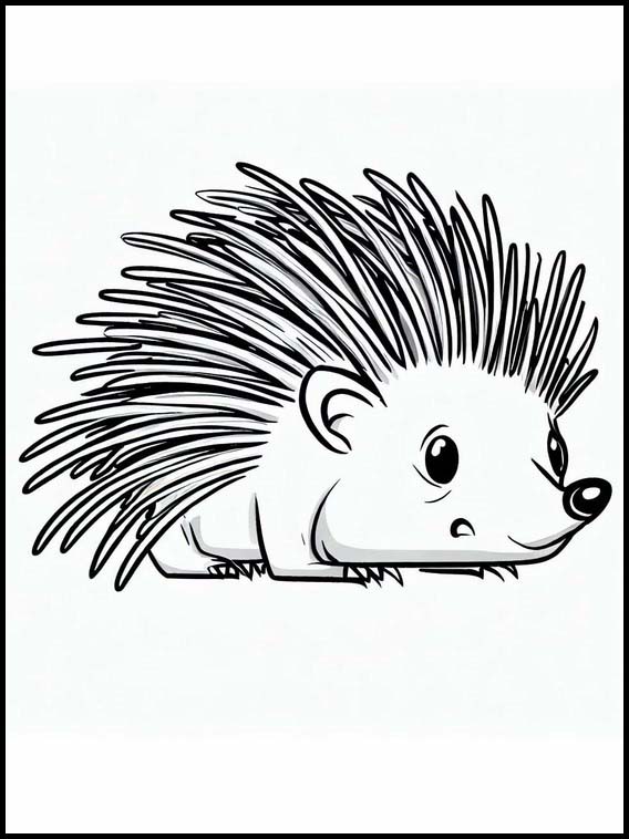 Porcupines - Animals 1