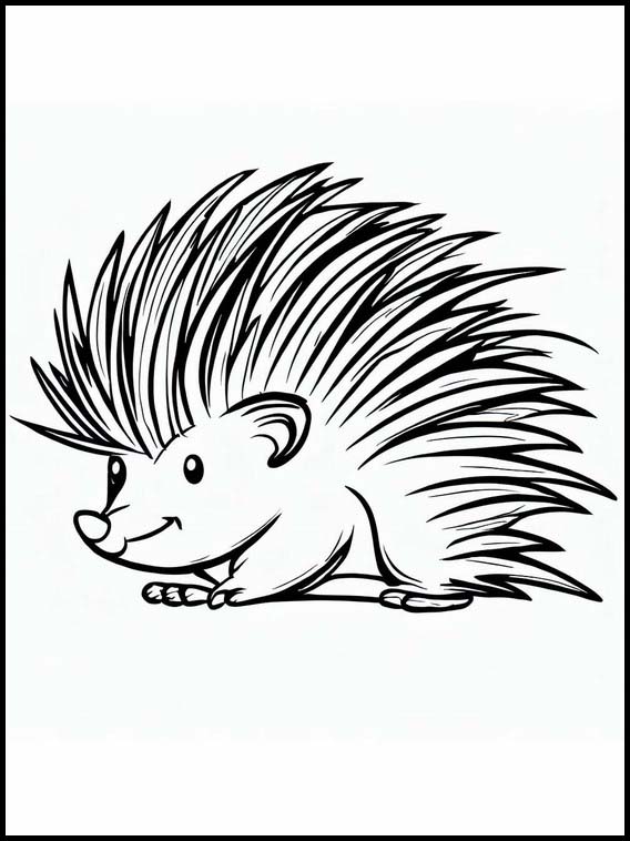 Porcupines - Animals 3