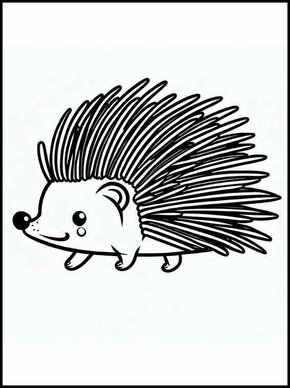 Porcupines - Animals 4