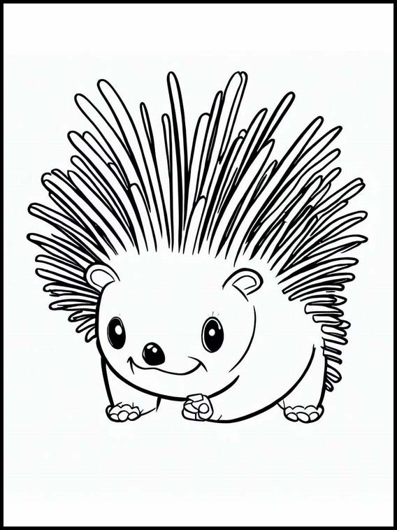 Porcupines - Animals 5