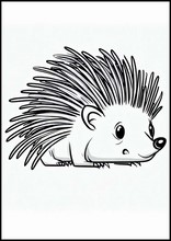 Porcupines - Animals1