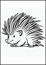 Porcupines - Animals3