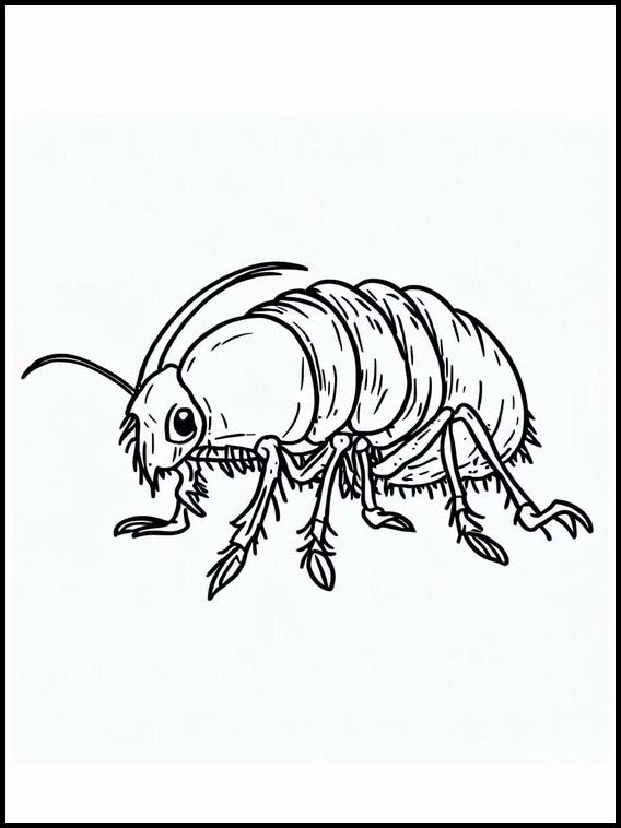 Fleas - Animals 1