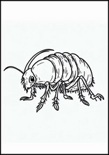 Fleas - Animals1