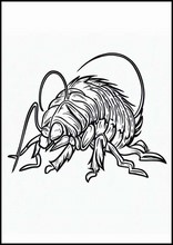 Fleas - Animals2