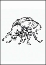 Fleas - Animals3