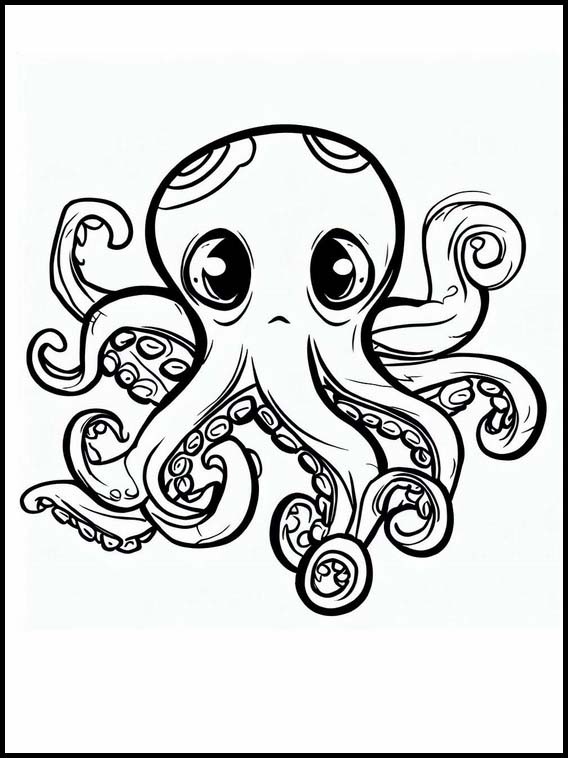 Octopuses - Animals 1