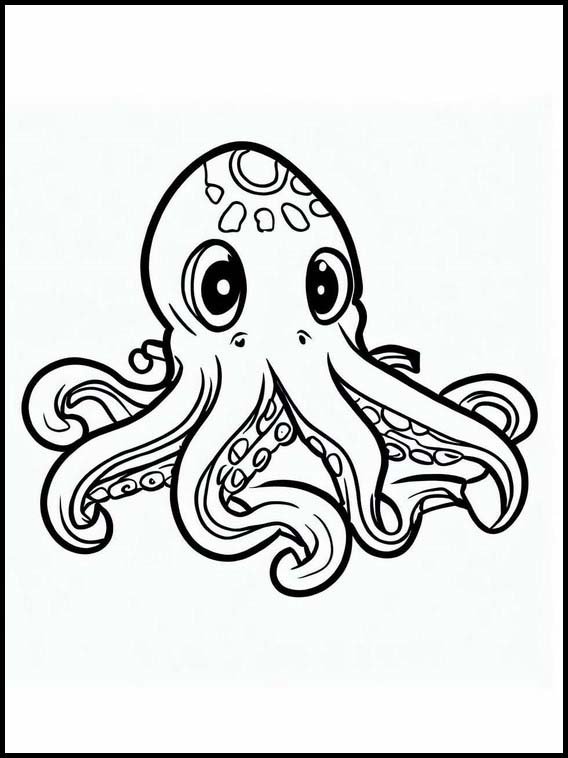 Octopuses - Animals 2