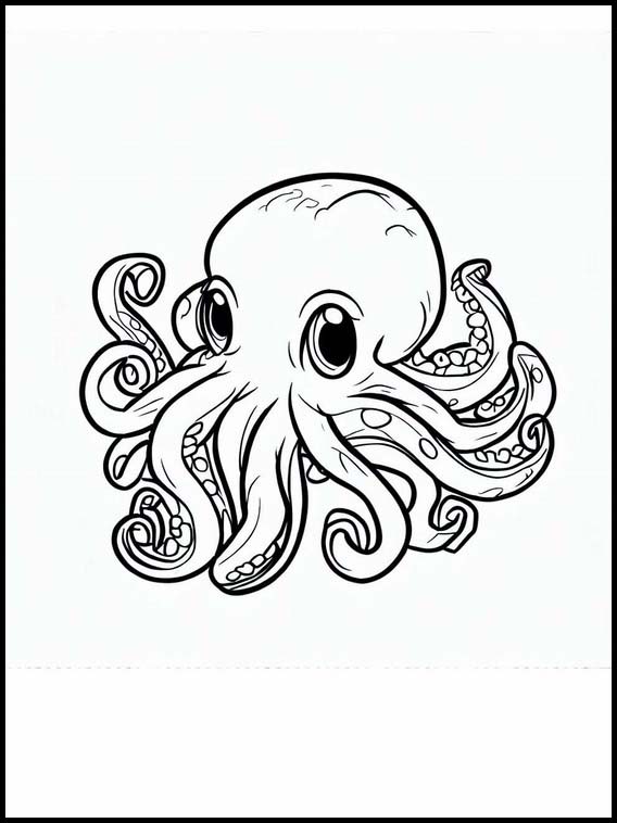 Octopuses - Animals 3