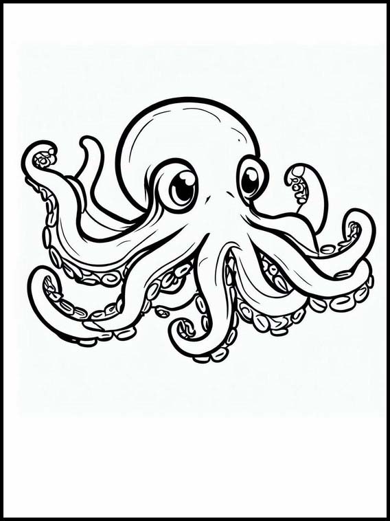 Octopuses - Animals 4