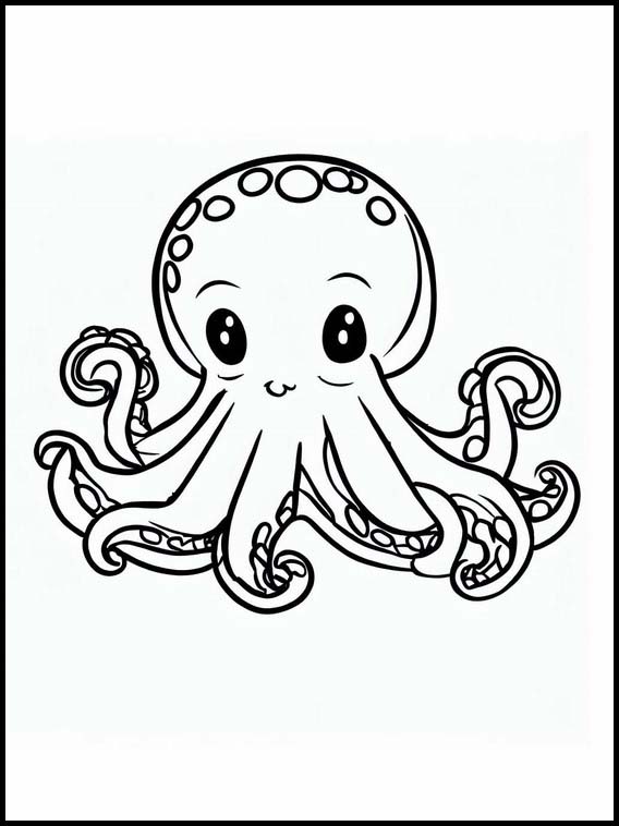 Octopuses - Animals 5