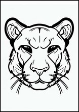 Puma - Animali3