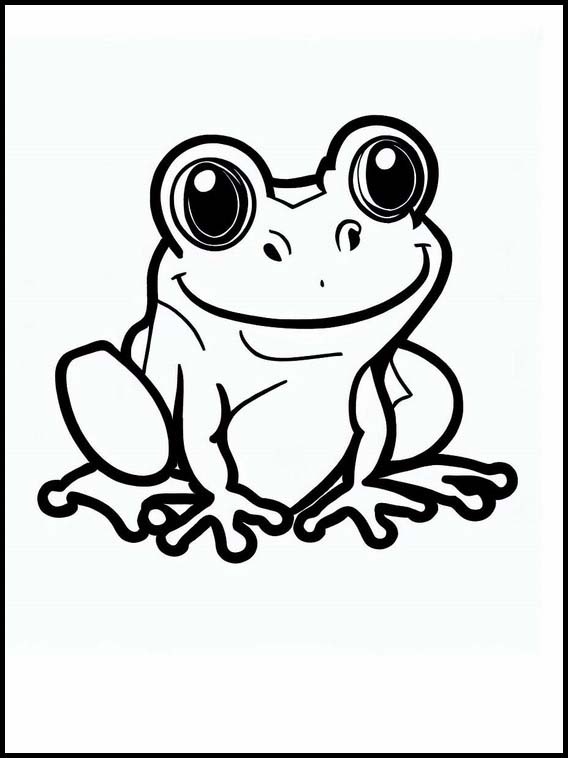Frogs - Animals 2