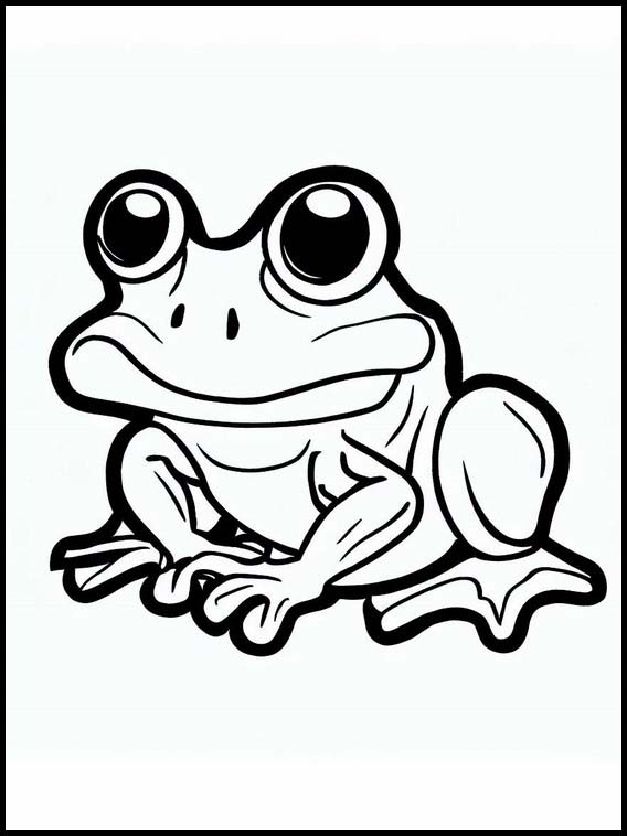 Frogs - Animals 3