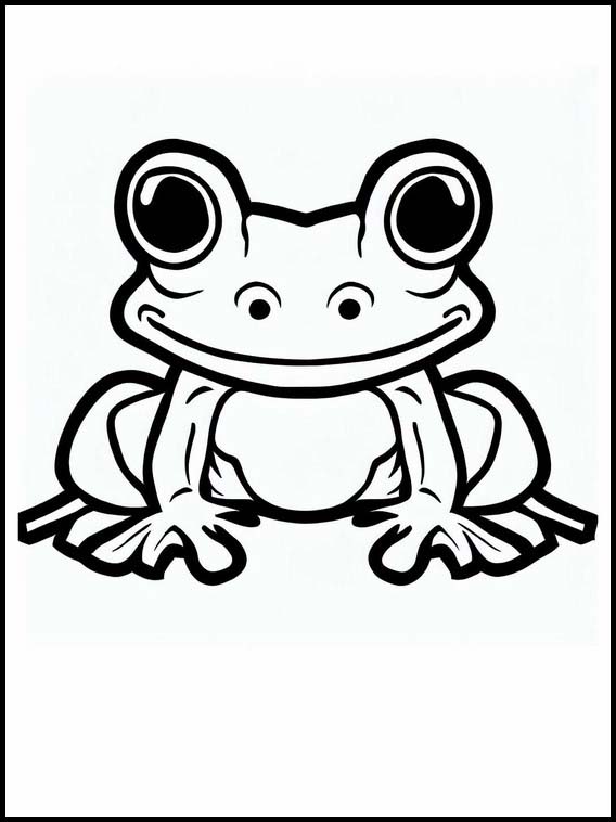 Frogs - Animals 4