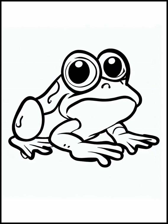 Frogs - Animals 5