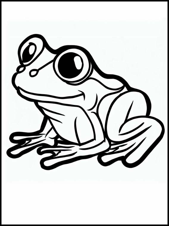 Frogs - Animals 6