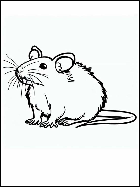 ネズミ - 動物 4