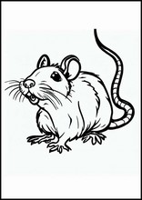 ネズミ - 動物1