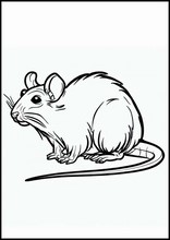 ネズミ - 動物2
