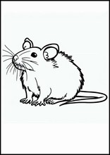 ネズミ - 動物4