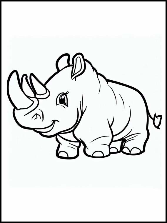 Rinocerontes - Animais 1