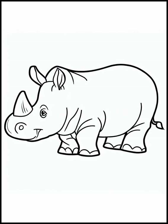 Rinocerontes - Animais 3