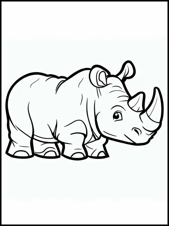 Rhinoceroses - Animals 4