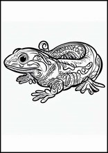 Salamanders - Dieren1