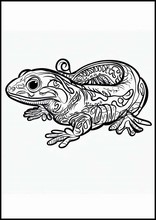 蠑螈1