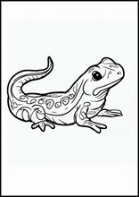 Salamander - Tiere2
