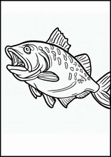 鮭魚2