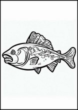 鮭魚3