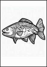 鮭魚4