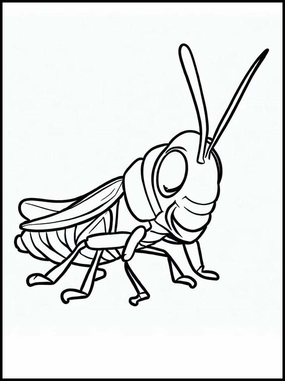 Grasshoppers - Animals 2