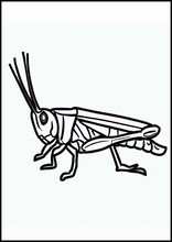 Græshopper - Dyr1