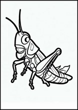 Græshopper - Dyr4