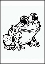 Toads - Animals1