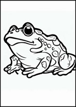 Toads - Animals4