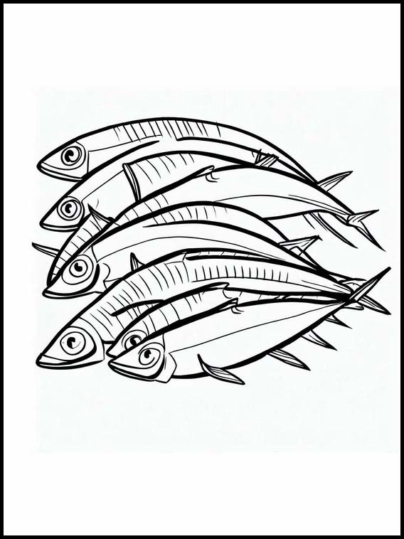 Sardines - Animals 3