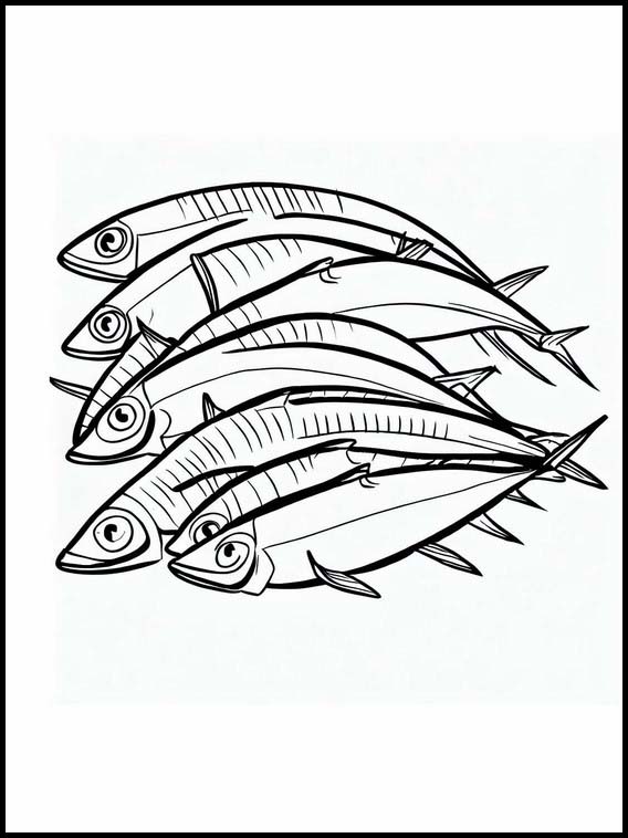 Sardines - Dieren 3