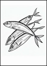 Sardines - Animals1